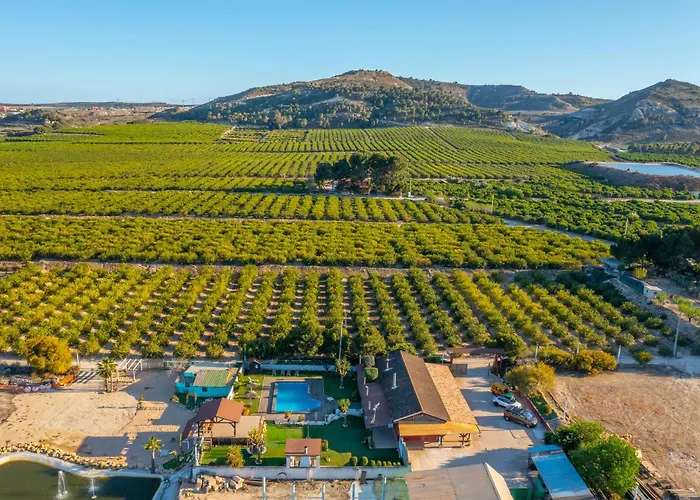 Caleros - Villa Algorfa